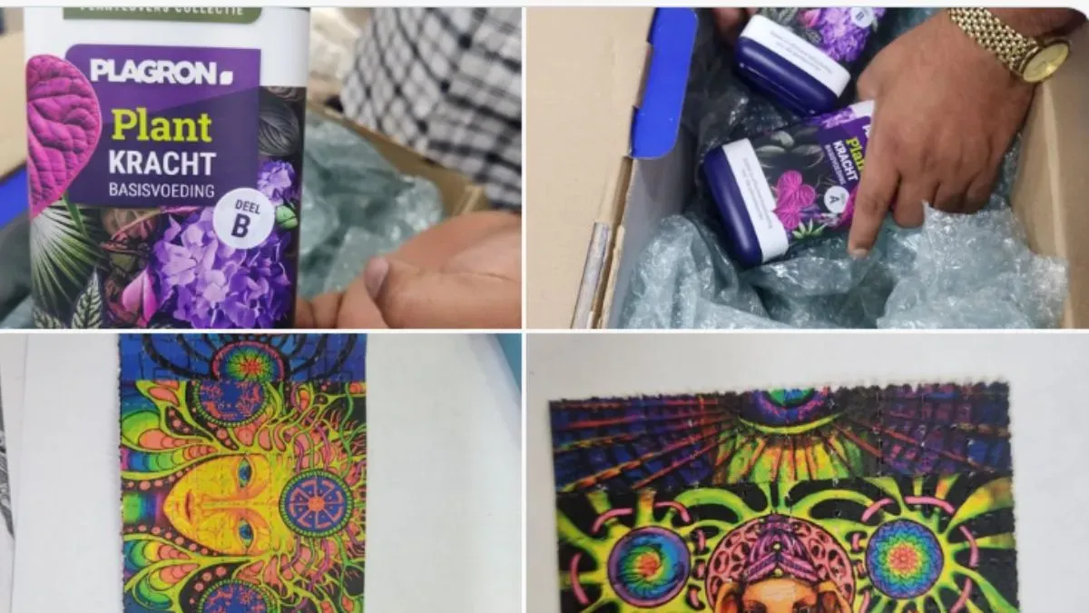 India-Wide Operation: NCB Seizes Drugs and Dismantles Darknet Network